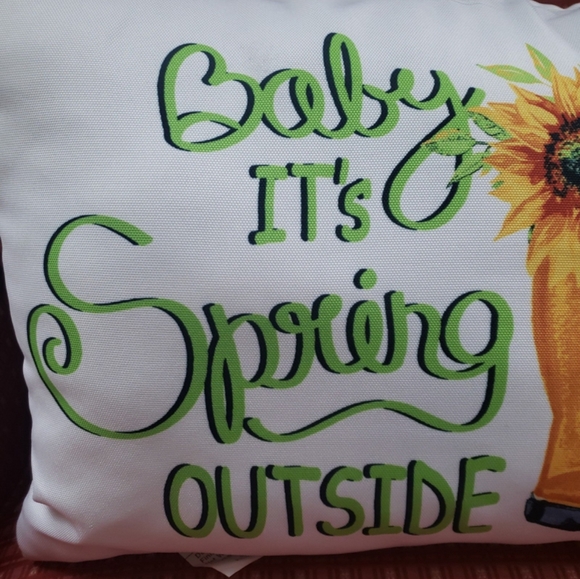 Accent pillow 13" x 18" - Baby its Spring Outside- NWT - Picture 3 of 4